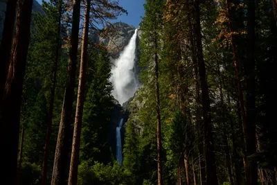 DSC_2394 (Large).JPG